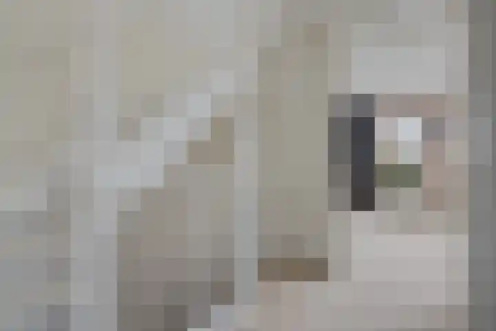 Dieze 37 Nieuwerkerk aan den IJssel thumbnail 20