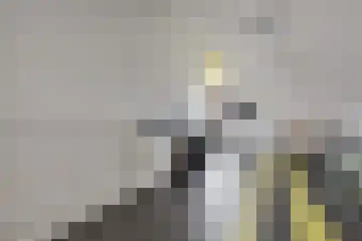 Dieze 37 Nieuwerkerk aan den IJssel thumbnail 28