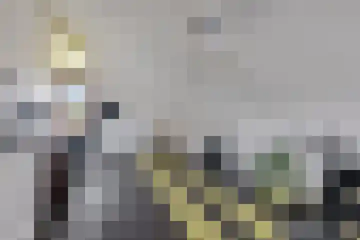 Dieze 37 Nieuwerkerk aan den IJssel thumbnail 30