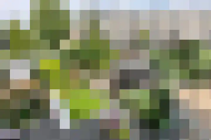 Dieze 37 Nieuwerkerk aan den IJssel thumbnail 33