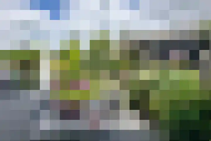 Dieze 37 Nieuwerkerk aan den IJssel thumbnail 35