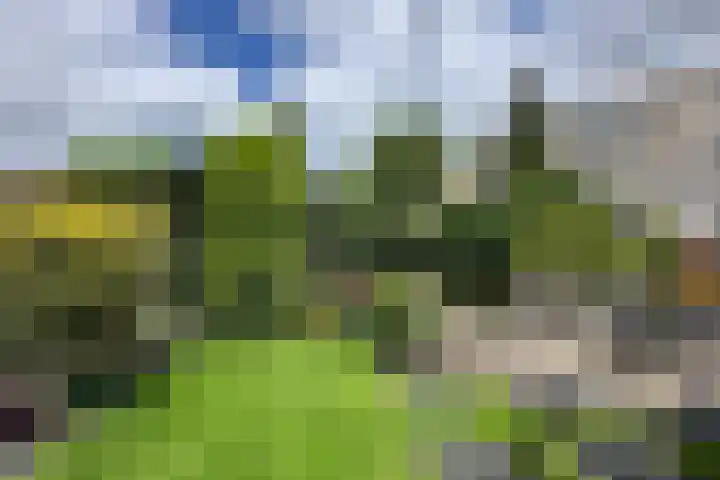 Dieze 37 Nieuwerkerk aan den IJssel thumbnail 36
