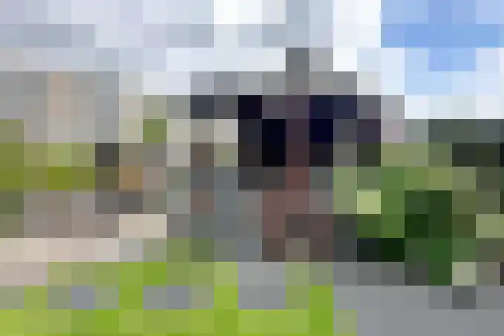 Dieze 37 Nieuwerkerk aan den IJssel thumbnail 37