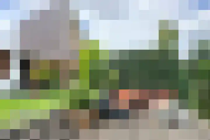 Dieze 37 Nieuwerkerk aan den IJssel thumbnail 40