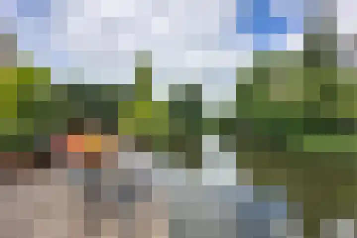 Dieze 37 Nieuwerkerk aan den IJssel thumbnail 42