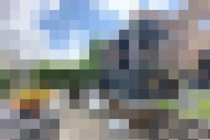 Dieze 37 Nieuwerkerk aan den IJssel thumbnail 43