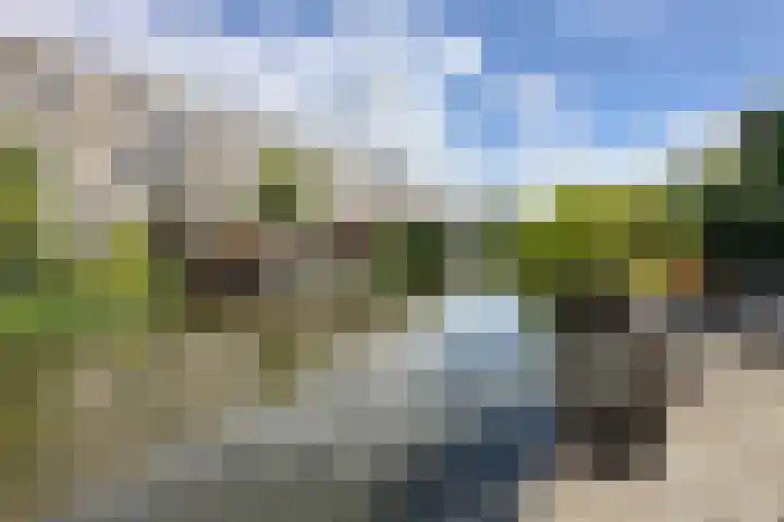Dieze 37 Nieuwerkerk aan den IJssel thumbnail 44