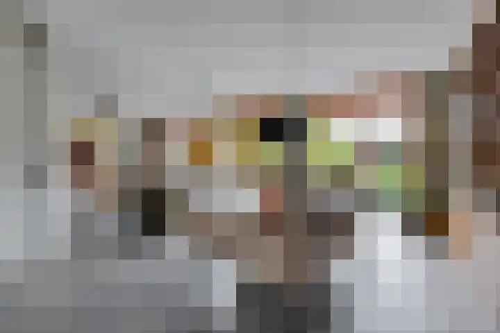 Dieze 37 Nieuwerkerk aan den IJssel thumbnail 9