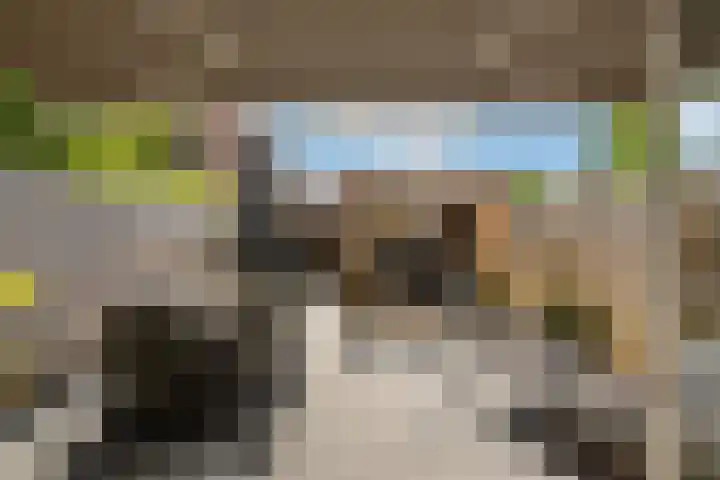 Dieze 38 Nieuwerkerk aan den IJssel thumbnail 10