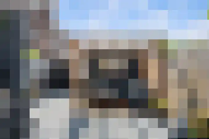 Dieze 38 Nieuwerkerk aan den IJssel thumbnail 11