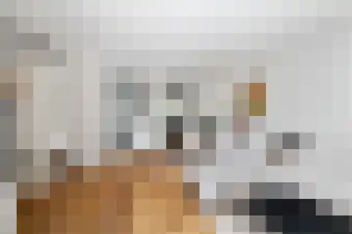 Dieze 38 Nieuwerkerk aan den IJssel thumbnail 15