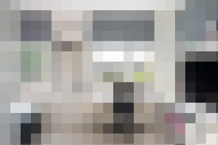 Dieze 38 Nieuwerkerk aan den IJssel thumbnail 27