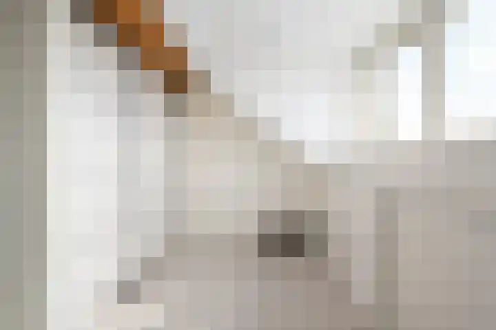 Dieze 38 Nieuwerkerk aan den IJssel thumbnail 32