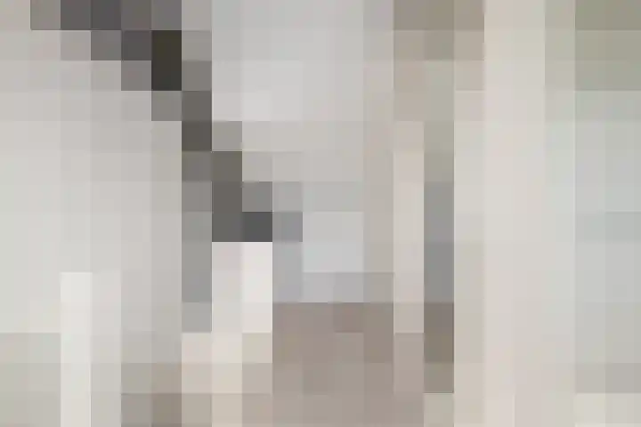 Dieze 38 Nieuwerkerk aan den IJssel thumbnail 33
