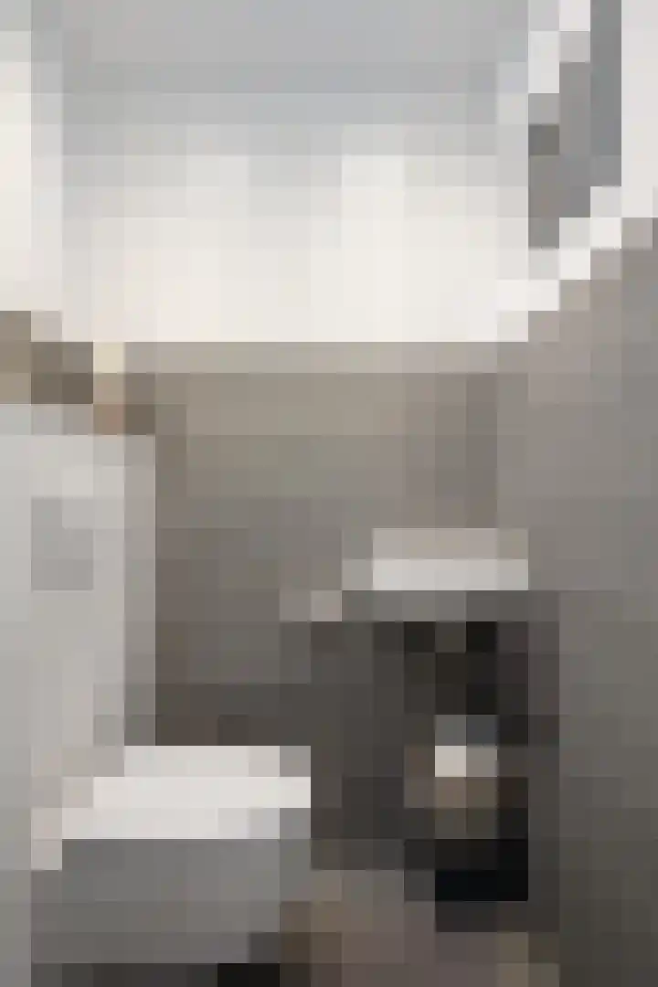 Dieze 38 Nieuwerkerk aan den IJssel thumbnail 37