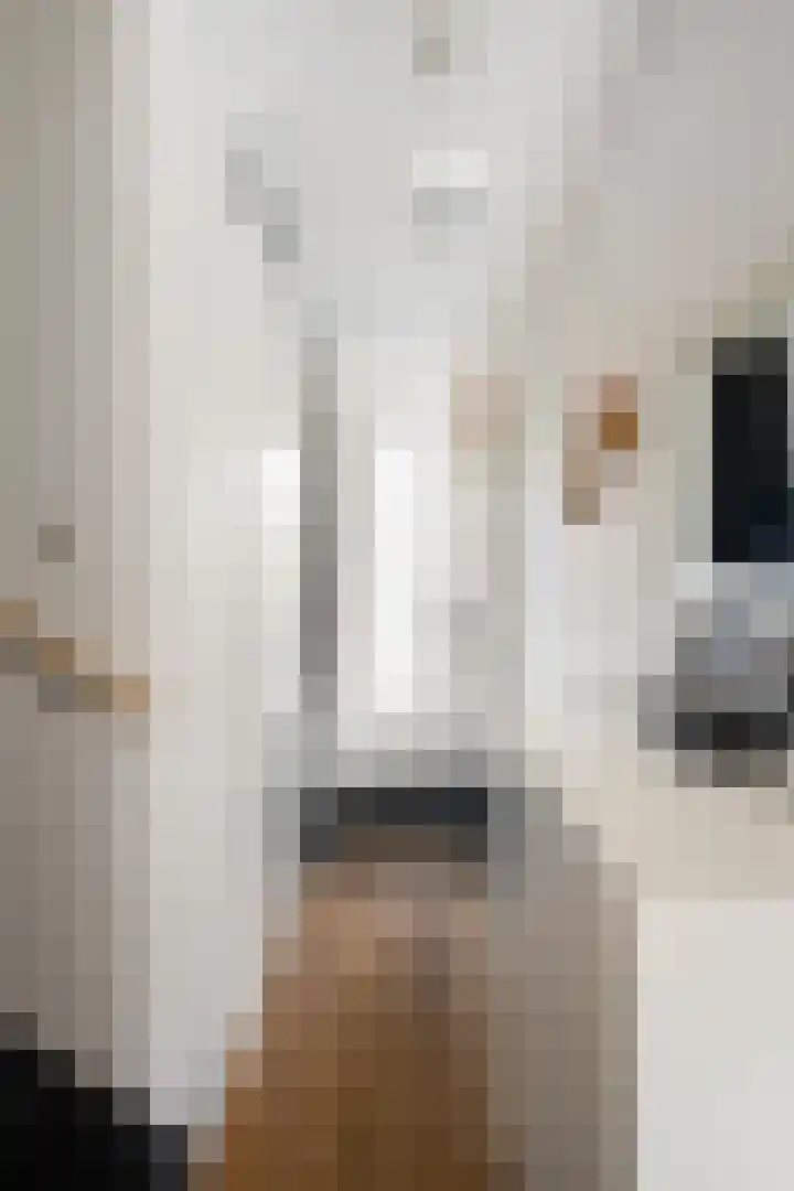 Dieze 38 Nieuwerkerk aan den IJssel thumbnail 38