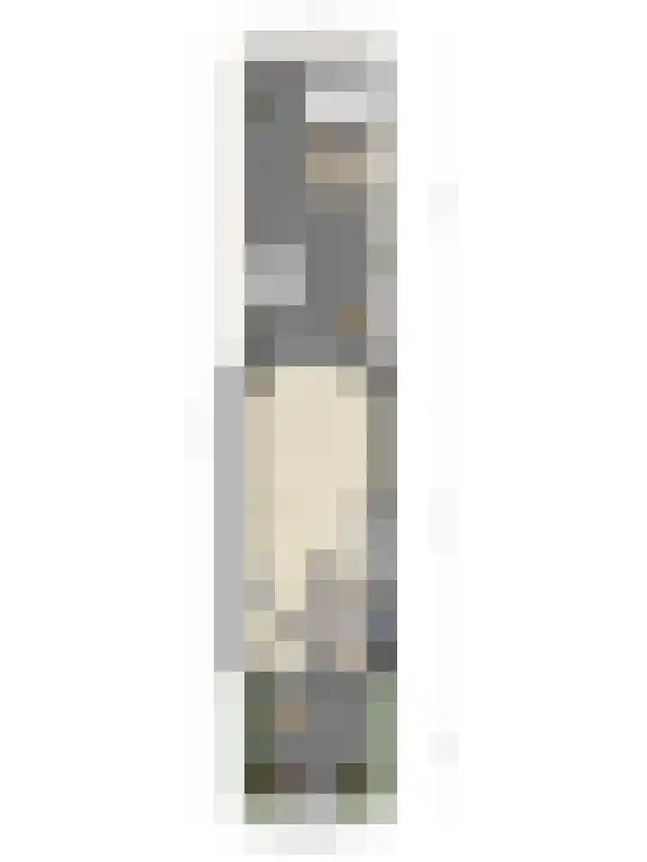 Dieze 38 Nieuwerkerk aan den IJssel thumbnail 40