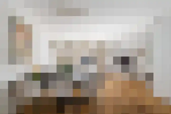 Dieze 38 Nieuwerkerk aan den IJssel thumbnail 6