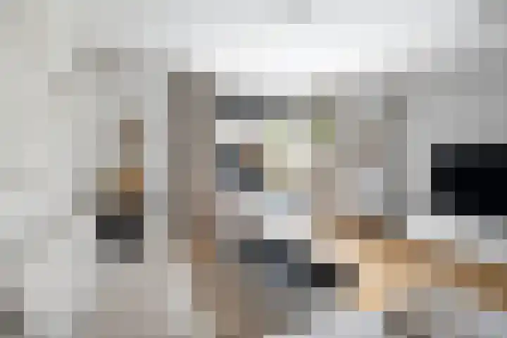 Dieze 38 Nieuwerkerk aan den IJssel thumbnail 7