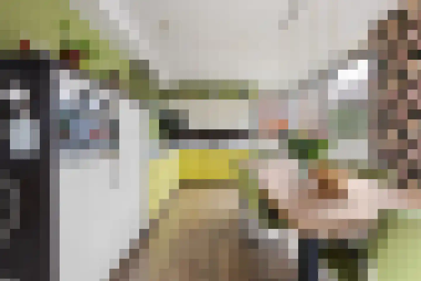 Dieze 41 Nieuwerkerk aan den IJssel thumbnail 12
