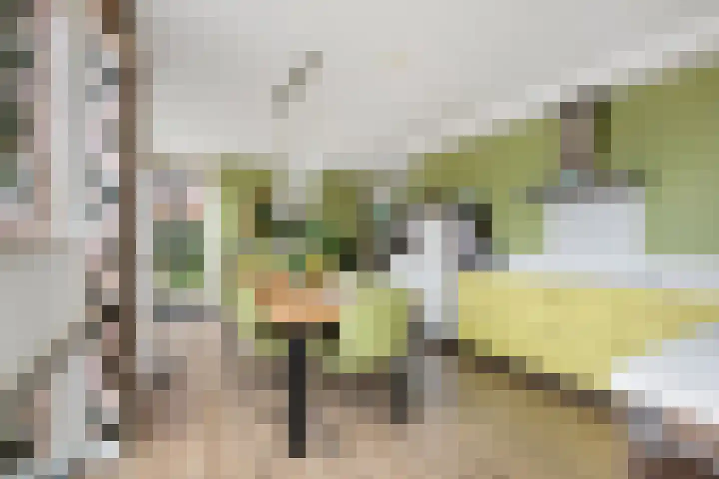 Dieze 41 Nieuwerkerk aan den IJssel thumbnail 15