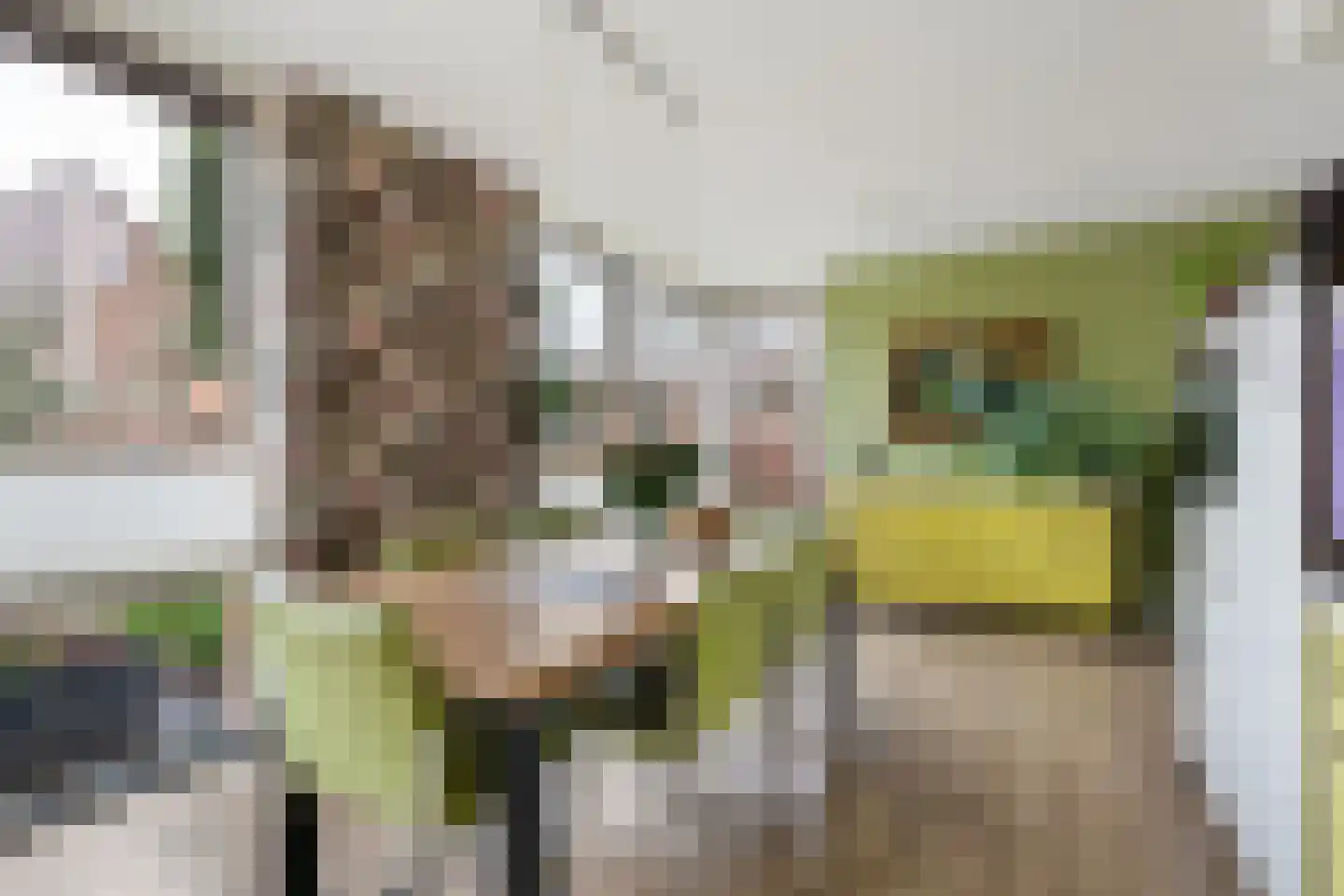 Dieze 41 Nieuwerkerk aan den IJssel thumbnail 16