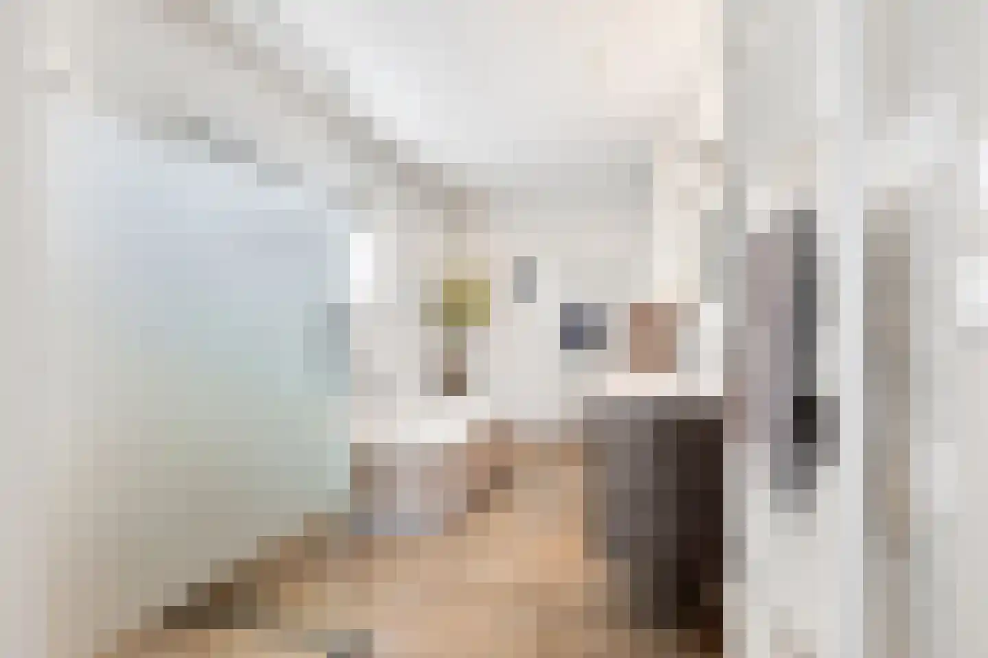 Dieze 41 Nieuwerkerk aan den IJssel thumbnail 21