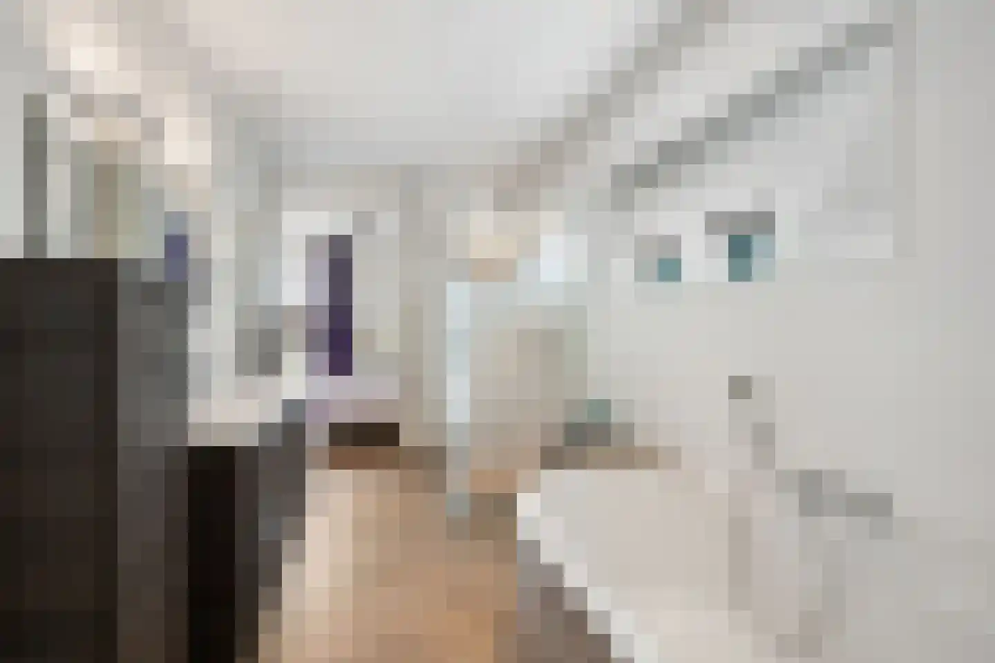 Dieze 41 Nieuwerkerk aan den IJssel thumbnail 22