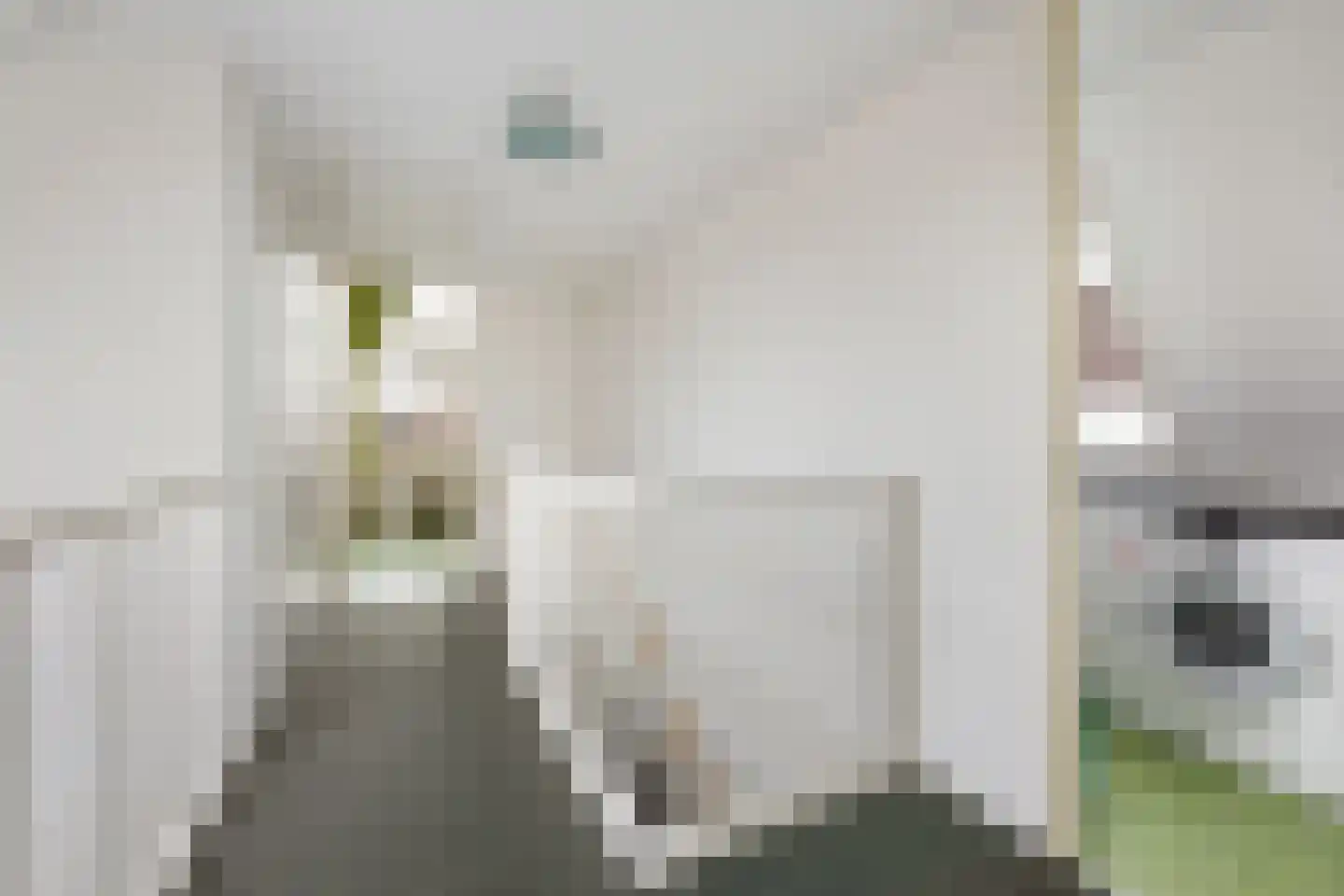 Dieze 41 Nieuwerkerk aan den IJssel thumbnail 27