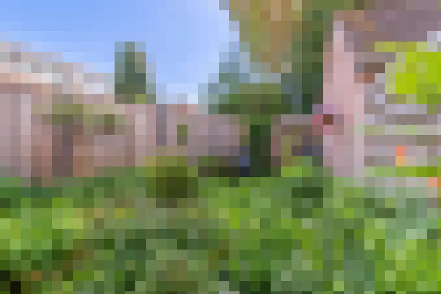 Dieze 5 Veenendaal thumbnail 27
