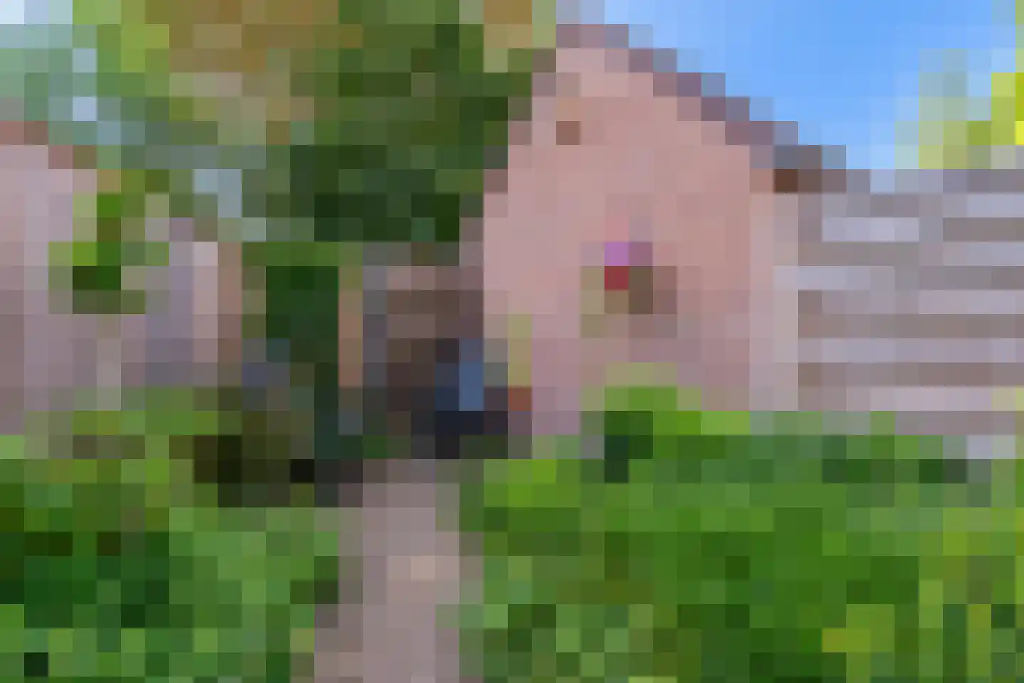 Dieze 5 Veenendaal thumbnail 28