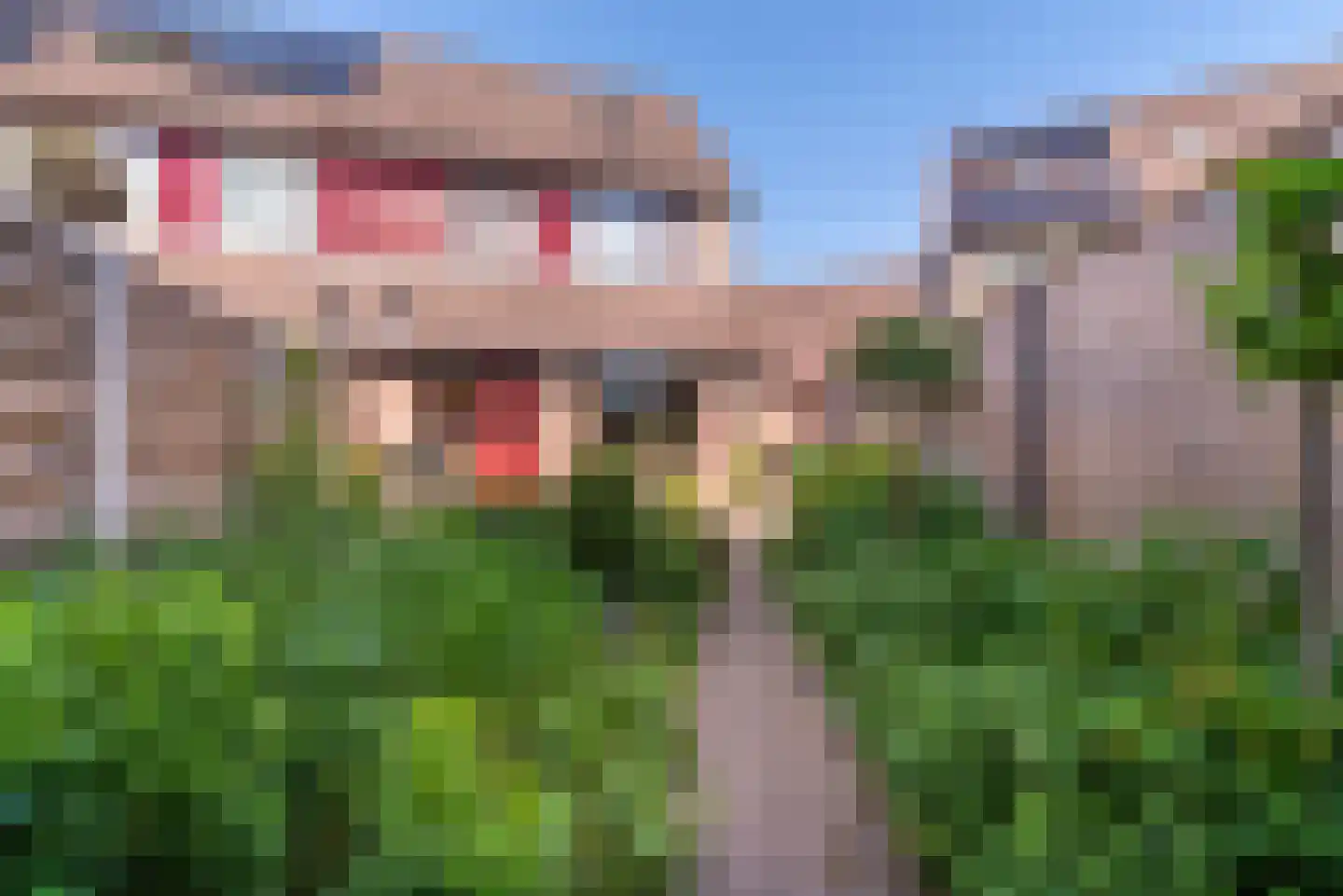 Dieze 5 Veenendaal thumbnail 29