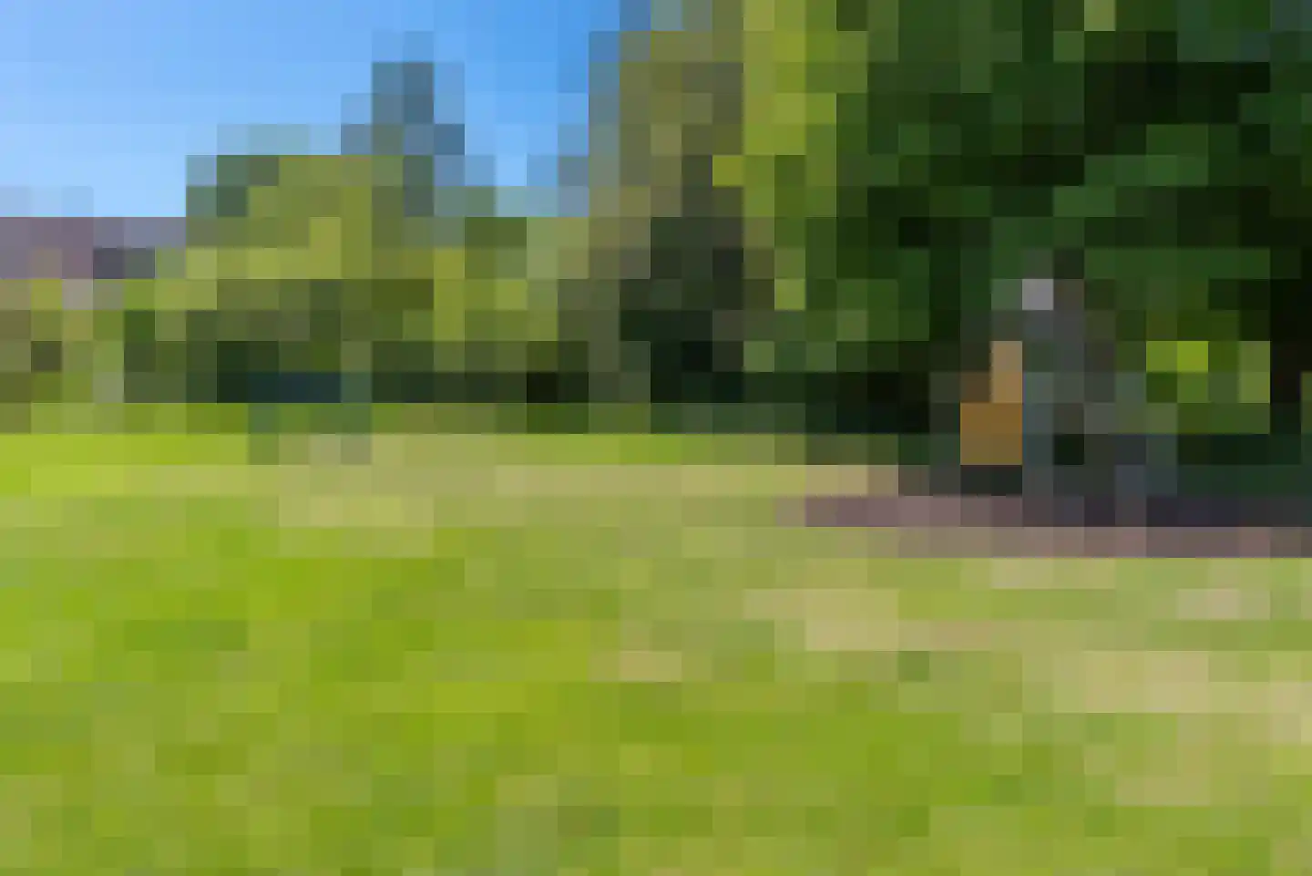 Dieze 5 Veenendaal thumbnail 30