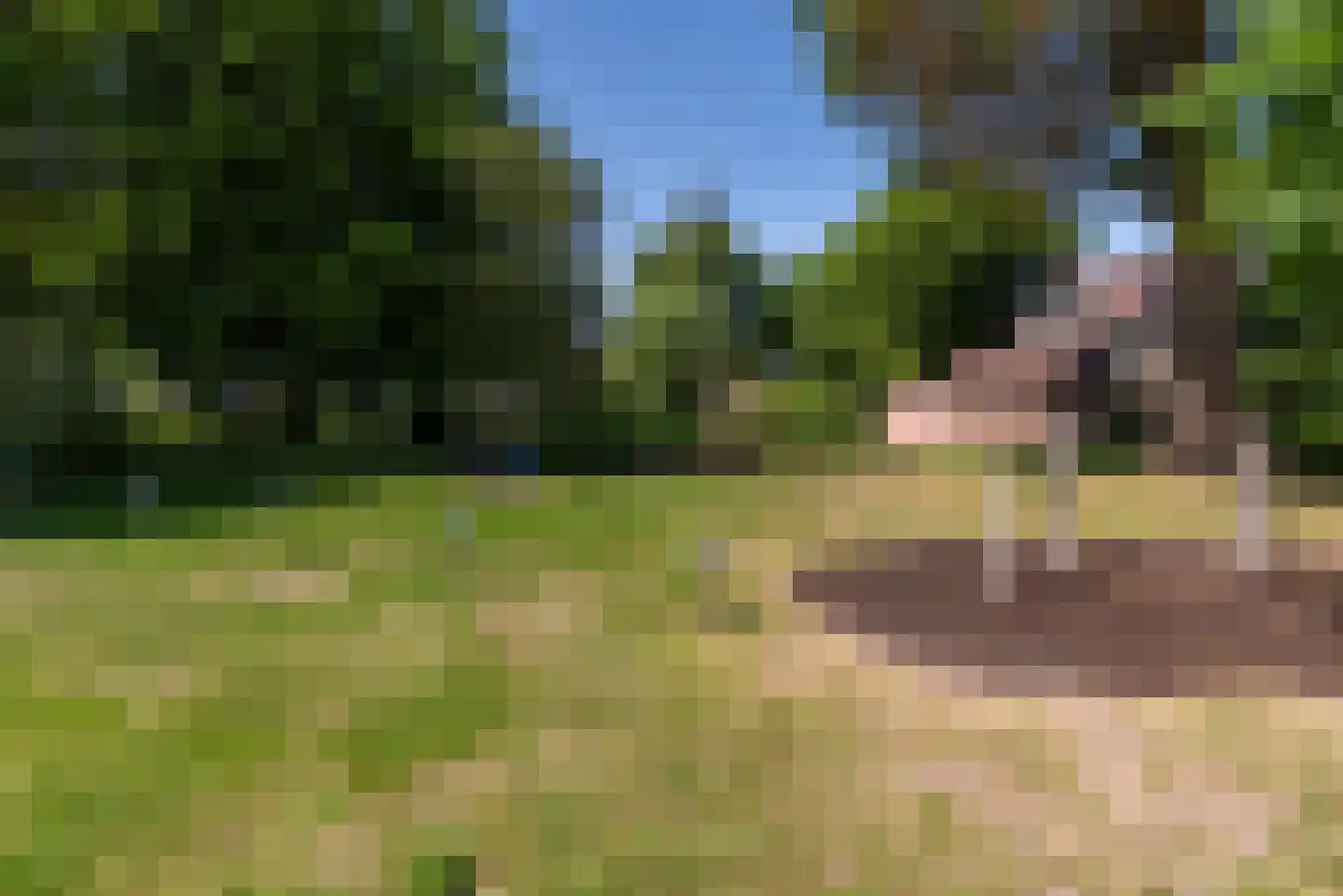 Dieze 5 Veenendaal thumbnail 31