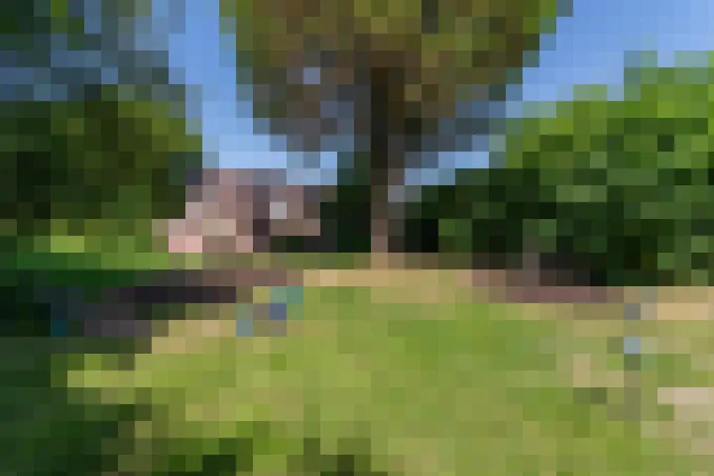Dieze 5 Veenendaal thumbnail 31