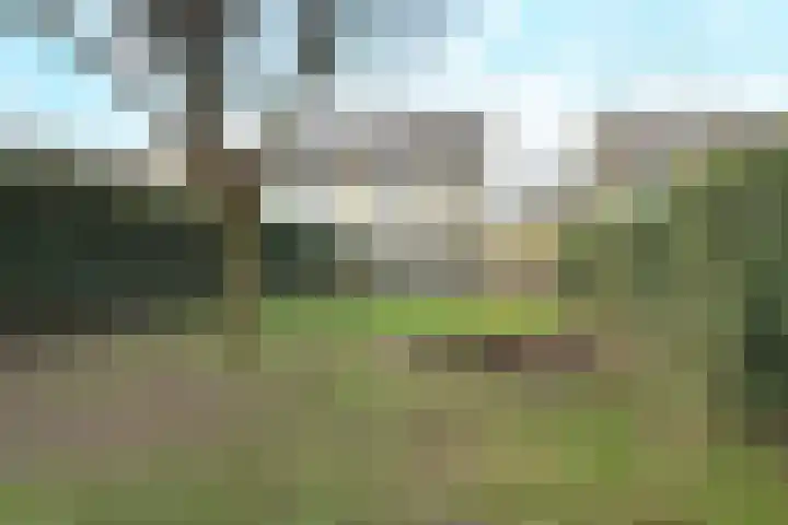 Dieze 54 Oisterwijk thumbnail 29