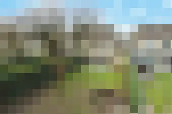 Dieze 54 Oisterwijk thumbnail 30