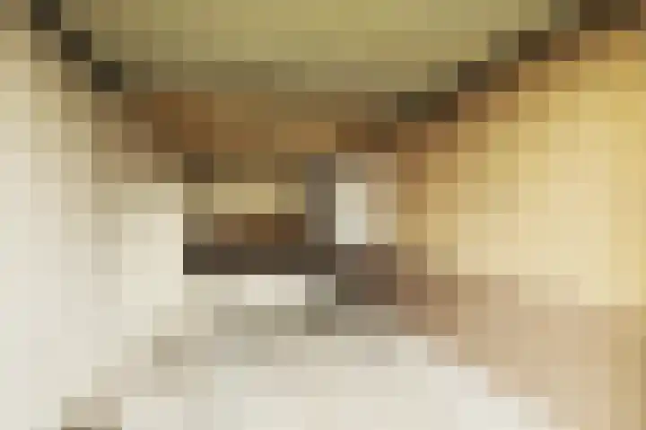 Dieze 54 Oisterwijk thumbnail 31