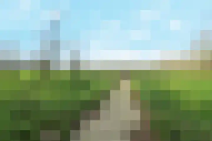 Dieze 54 Oisterwijk thumbnail 34