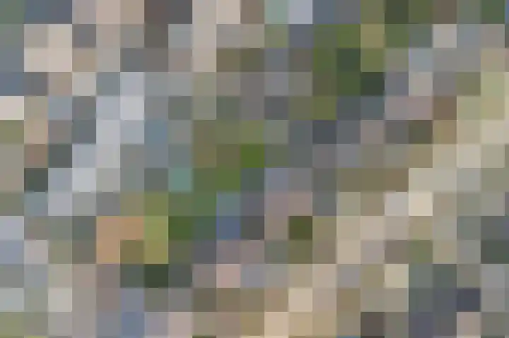 Dieze 54 Oisterwijk thumbnail 36