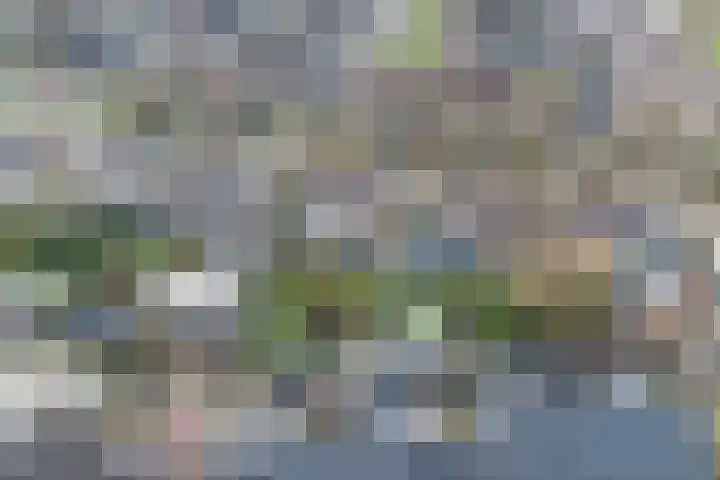 Dieze 54 Oisterwijk thumbnail 5
