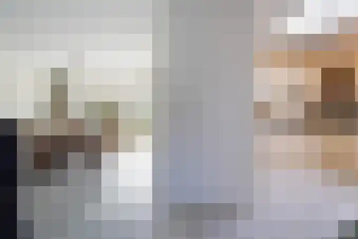 Dieze 69 Oisterwijk thumbnail 12
