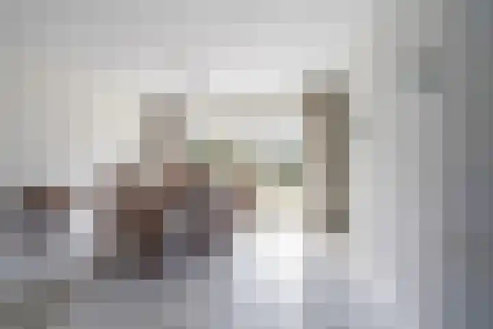Dieze 69 Oisterwijk thumbnail 13