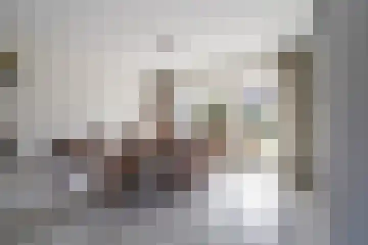 Dieze 69 Oisterwijk thumbnail 14