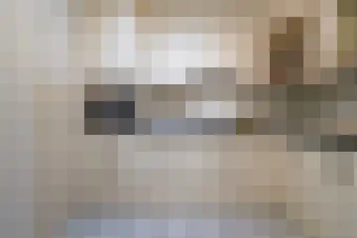 Dieze 69 Oisterwijk thumbnail 15