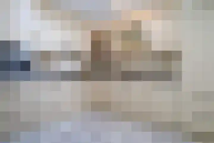 Dieze 69 Oisterwijk thumbnail 17