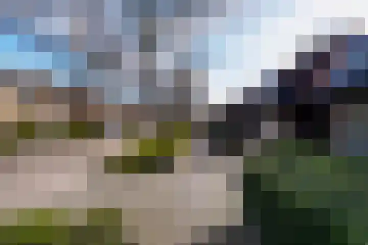 Dieze 69 Oisterwijk foto 2