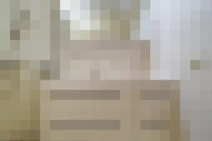 Dieze 69 Oisterwijk thumbnail 23