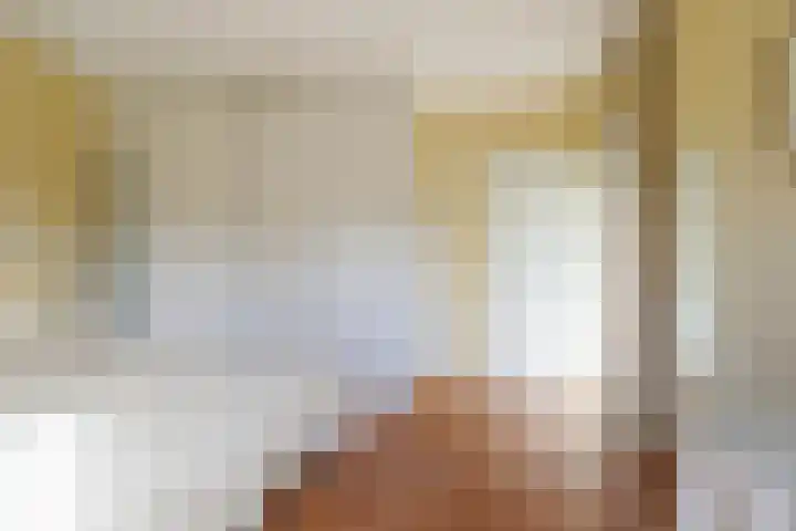 Dieze 69 Oisterwijk thumbnail 27