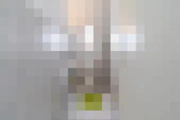 Dieze 69 Oisterwijk thumbnail 30